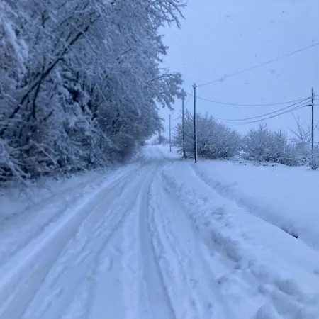 Du Thone Sejour Au Calme En Lisiere De Foret Prázdninový dům *